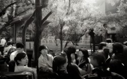 如何一天玩转洛阳周边精华景点？，（解析，，疑问句式，用如何开头引发搜索者好奇心，符合SEO点击率提升原则，核心关键词前置，包含洛阳周边精华景点一天玩转等高搜索量词，精准匹配内容，原攻略的核心是一日游和周边景点，三县在标题中泛化为周边避免地域局限，同时精华呼应原文的景点筛选逻辑，简洁性，18字符合搜索引擎标题展示规则，无冗余词）