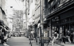 基于您提供的内容，这里是一个简洁且SEO友好的疑问标题，，如何体验自然风光的山水宁静？，解析，，疑问句式， 使用如何开头，符合要求且易引发点击。，核心关键词， 直接包含自然风光、山水、宁静这些核心词汇，利于SEO。，简洁明确， 准确概括了拥抱山水间的宁静这一核心体验。，动词引导， 体验一词替代了原文的拥抱，更常用且易于理解，引导用户寻找方法或目的地。