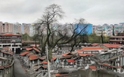 2024年有哪些值得推荐的自驾景点？，说明，，疑问句式， 使用有哪些直接点明是寻求推荐。，核心关键词前置， 自驾景点作为核心搜索词放在标题前部。，包含用户原意， 保留了推荐的核心诉求。，简洁明确， 直接点题，没有多余词汇。，SEO优化， 包含用户可能搜索的关键词组合自驾景点、推荐。，时效性 (可选但推荐)， 加入2024年可以增加时效性和吸引力，暗示是最新推荐。如果希望更通用，可以去掉年份，但加上年份通常对SEO和点击率更有利。