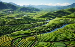 核心产区的地理布局如何分布？