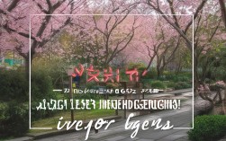 东京周边一日游去哪玩？逃离喧嚣的小众景点推荐！，理由，，疑问句式， 去哪玩？ 直接引发用户搜索意图，符合搜索习惯。，核心关键词， 包含核心搜索词东京周边一日游、小众景点。，突出核心卖点， 逃离喧嚣 点明主题，小众景点推荐 强调独特性和价值。，简洁明了， 长度适中，信息清晰，易于阅读和理解。，SEO友好， 包含了用户最可能搜索的关键短语组合。