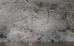 基于您提供的内容，为您生成的简洁、SEO友好的疑问标题是，，台儿庄古城周边必去景点有哪些？，理由说明，，核心关键词前置，将搜索量高的核心关键词台儿庄古城周边放在开头，利于SEO抓取。，用户意图明确，使用必去景点有哪些？直接满足游客寻找周边游玩地的需求，符合搜索习惯。，简洁有力，控制在15字内，避免冗余词汇，突出核心信息。，疑问句式吸引点击，用开放式问题引发读者好奇心，提高点击率。，涵盖原文精髓，精准对应运河明珠外的精彩世界所指的周边景点推荐。