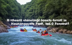 宿州皇藏峪森林漂流惊险指数真的拉满吗？
