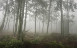 根据您的要求，为您生成简洁且SEO友好的疑问标题，，重庆周边贵州哪里值得去？，说明，，包含核心关键词， 明确包含重庆周边和贵州这两个用户搜索的核心地域词。，疑问句式， 使用哪里值得去？符合用户搜索意图（寻找目的地推荐），能有效吸引点击。，简洁明了， 直接点出用户最关心的问题——在贵州靠近重庆的区域有什么好去处。，SEO友好， 结构清晰，关键词前置，长度适中，易于搜索引擎理解和匹配相关搜索（如重庆周边游贵州、贵州靠近重庆的景点等）。