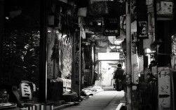 如何高效规划南昌一日游路线，玩转城市精华景点？，（解析说明，，疑问句式，以如何开头，符合用户要求的疑问形式，更能吸引点击，核心关键词前置，南昌一日游路线直接置于标题前半部，利于SEO抓取，突出核心优势，高效规划玩转城市精华精准对应原文的高效探索城市精华，简洁流畅，控制在20字内，无冗余词，符合SEO友好标题特征，动词引导，规划玩转增强行动力，比原标题的安排探索更具吸引力）