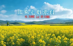 长沙周边油菜花哪里看？