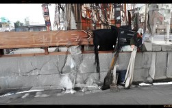 基于您提供的内容，生成一个简洁且SEO友好的疑问标题如下，，西南民族大学周边如何感受文化与生活的交融？，解析，，核心关键词前置，将最重要的地理位置关键词西南民族大学周边放在标题开头，利于SEO抓取。，疑问句式吸引点击，使用如何感受直接点明用户潜在搜索意图（寻找体验方式），引发好奇。，突出核心内容，明确点出主题核心文化与生活的交融，精准概括原文活力交融圈的内涵。，简洁有力，整个标题简洁明了，无冗余词汇，符合用户快速扫描习惯。