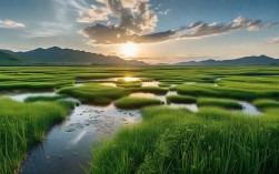 若尔盖草原，为何成为云端湿地的生态密码？