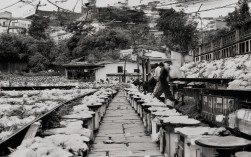 苏州周边一日游，本地人推荐哪些深度玩法？，理由说明，，核心关键词， 包含苏州周边（比附近更常用）、一日游、本地人推荐、深度玩法。，疑问句式， 符合SEO友好的要求，更能吸引点击。，简洁明了， 直接点明主题，没有冗余词汇。，突出价值， 本地人推荐和深度玩法直接点出内容的核心价值（本地视角、深度探索）。