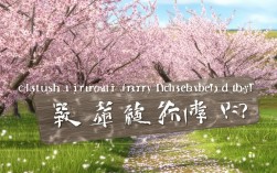 旅顺农家樱花一日游值得去吗？