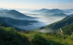 清晨七点秦岭北麓气温为何比市区低六度？探秘太平峪森林公园清凉之谜