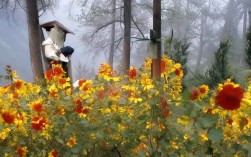 成都欢乐谷周边有哪些吃喝住行攻略？，理由说明，，包含核心关键词， 成都欢乐谷、周边、攻略、吃喝住行 都是用户搜索时可能用到的核心词。，疑问句式， 直接提出问题，符合用户搜索习惯（如成都欢乐谷周边有什么好吃的？、成都欢乐谷附近住宿），更容易匹配搜索意图。，简洁明确， 清晰点明主题是关于欢乐谷周边的吃喝住行实用信息（即便捷生活圈的具体化），没有冗余词汇。，涵盖核心内容， 攻略一词概括了原文的全攻略和玩转乐园外的配套信息需求。，SEO友好， 结构简单，关键词前置且集中，易于搜索引擎理解和抓取。