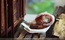 基于娄山关路周边这个核心关键词，直接生成的简洁、SEO友好的疑问标题是，，娄山关路周边有哪些值得去的地方？，理由说明，，核心关键词前置，娄山关路周边直接放在标题开头，最利于SEO抓取。，疑问句式，符合搜索意图（用户想了解周边有什么），吸引点击。，简洁明了，长度适中，清晰传达主题。，值得去的地方，覆盖了用户可能搜索的各类POI（如美食、景点、商场、公园等），具有包容性和吸引力。