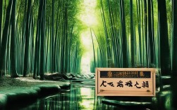 莫干山竹林秘境，隐世美学为何成为旅行新热点？