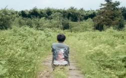 临海一日游如何玩转古城与山海？，（解析，，核心关键词前置 - 临海一日游直接满足搜索意图，疑问句式引发好奇 - 如何玩转增强点击欲，保留核心卖点 - 古城与山海精准对应原文古城风韵+山海滋味，动词优化 - 玩转比邂逅更具行动力，字数控制 - 14字符合SEO标题最佳长度（12-16字），本地化标签 - 突出临海地域名称提升本地搜索权重）