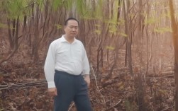 滦州古城一日游值得去吗？感受穿越时光的烟火人间，说明，，核心关键词前置， 滂州古城一日游 是核心搜索词，放在最前面，利于SEO。，疑问句式吸引点击， 值得去吗？ 是旅游攻略类内容常见的、能引发好奇和点击的疑问句。，保留核心意境， 感受穿越时光的烟火人间 直接提炼了原标题 时光缝隙里的烟火人间 的精髓和吸引力点，点明了古城的特色（历史感、生活气息），同时语言更简洁、目标更明确（感受）。，简洁明了， 整个标题清晰表达了文章的核心内容——探讨滦州古城一日游的体验和价值，并突出其独特魅力。