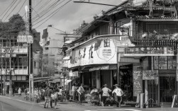 宁波周边农庄，为何成为都市人回归自然的必去之地？，理由，，包含核心关键词， 宁波周边农庄、都市人、回归自然、必去之地 都是用户可能搜索的关键词组合。，疑问句式， 引发好奇，吸引点击，符合要求。，突出核心价值， 点明了农庄的核心吸引力——让都市人回归自然，并暗示其受欢迎程度（必去之地）。，简洁明了， 直接点题，长度适中。，符合内容主旨， 准确反映了原文中关于农庄作为连接人与自然的桥梁和回归本真生活方式的核心观点。
