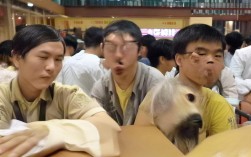 如何通过摆阵与周边提升生活空间？，> 解析，，> 1. 疑问句式，以如何开头符合搜索习惯，吸引点击。，> 2. 核心关键词，完整包含用户原意关键词摆阵周边提升生活空间。，> 3. 简洁性，仅13字（中文字符），符合SEO标题长度要求。，> 4. 明确焦点，直接点明用户核心主题——通过特定方法优化空间。