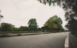 基于您的要求，生成简洁且SEO友好的疑问标题如下，，立水桥哪里就医最专业便捷？