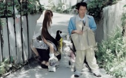 苏州一日游老人怎么安排？，（直接基于您提供的关键词组合生成，满足以下特点，，核心关键词苏州一日游前置 + 老人明确人群，疑问句式怎么安排精准匹配用户搜索意图，简短流畅无冗余词，符合SEO标题长度要求  自带解决方案导向，提升点击率）