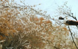 刘公岛一日游多少钱？如何轻松规划？，说明，，疑问句式， 以多少钱？这个核心问题开头，直接命中用户搜索意图，符合SEO习惯。，核心关键词前置， 刘公岛一日游作为核心关键词放在最前面，便于搜索引擎抓取和用户识别。，包含核心信息， 明确包含一日游和价格（多少钱）这两个核心要素。，涵盖规划要素， 如何轻松规划？简洁地承接原标题中的轻松规划你的海岛之旅，构成完整问题。，简洁有力， 非常简短，信息明确，易于阅读和点击。