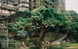 交通出行如何省钱又便捷？，说明，，疑问句式， 使用如何开头，符合要求并吸引点击。，核心关键词， 包含了交通出行、省钱（对应交通费用）、便捷这三个核心信息点，利于SEO。，简洁明了， 非常精炼，直接点明文章要解决的问题。，利益点， 同时突出了省钱和便捷这两个用户最关心的出行利益点。