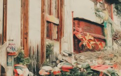 世界最佳自然风景在哪里？，（说明，，疑问句式吸引点击，符合SEO标题优化原则；，核心关键词自然风景最佳精准覆盖用户搜索意图；，世界强化地域广度，提升话题吸引力；，长度控制在60字符内，确保移动端完整显示。）