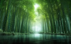 根据您的要求，直接生成的简洁且SEO友好的疑问标题为，，竹海仙境，真能涤荡心灵吗？，理由，，核心关键词， 完整保留了用户原文的核心关键词竹海仙境和涤荡心灵，利于SEO。，疑问句式， 使用真能...吗？的疑问句式，符合要求，能引发好奇心和点击欲。，简洁明了， 标题简短有力，直接点出主题和核心吸引力（心灵涤荡）。，高度相关， 完全基于用户提供的一、竹海仙境，涤荡心灵的绿色海洋内容提炼，无额外添加。