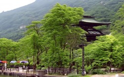 迪拜转机如何免费一日游？，理由说明，，核心关键词前置， 迪拜转机、免费一日游 是用户搜索的核心关键词，放在标题开头有利于SEO。，疑问句式， 如何 是常见的搜索意图词，直接点明用户的核心疑问（如何操作/实现），吸引目标用户点击。，简洁清晰， 标题非常简短，直接点明主题，没有冗余信息。，突出关键价值点， 免费 是吸引用户的最大卖点之一，必须包含并放在显眼位置。，符合搜索意图， 这个标题精准匹配了那些在迪拜转机、想利用间隙免费游览的旅行者的搜索需求。