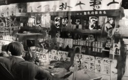 基于地理位置与概况这个主题，一个简洁且SEO友好的疑问标题是，，什么是地理位置与概况？，直接包含核心关键词地理位置和概况。，使用疑问句式，符合用户搜索习惯（如什么是...）。，简洁明了，准确概括主题。，能有效吸引寻找该主题基本定义和解释的用户点击。