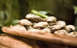 上海周边赏花去哪里？最佳地点推荐！，说明，，核心关键词前置， 上海周边赏花 是核心搜索词，放在标题最前面利于SEO。，疑问句式， 去哪里？ 是直接的疑问，符合用户搜索意图（寻找地点），能吸引点击。，价值补充， 最佳地点推荐！ 点明了文章的核心价值（提供推荐），并带有一定的号召力（感叹号）。，简洁， 整个标题精炼，信息明确。