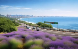 青岛市区自驾到薰衣草庄园经滨海大道需要多长时间？