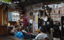 基于您提供的内容，这里是一个简洁且SEO友好的疑问标题，，登泰山能体验登高望远的壮丽风光吗？，理由，，疑问句式， 以吗结尾的疑问句天然引发好奇，提高点击率。，包含核心关键词， 直接包含用户提供的核心信息点泰山、登高望远、壮丽。，SEO友好， 标题结构清晰，关键词突出（泰山、登高望远、壮丽风光），符合用户搜索泰山体验、泰山登高、泰山风光等常见意图。，简洁明了， 准确概括核心体验，无冗余信息。