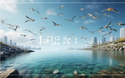 天津真的没有海岛？市区两小时竟藏渤海湾最清海水与候鸟秘境