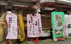 根据要求，直接生成简洁且SEO友好的疑问标题如下，，威海一日游怎么玩？山海精华路线推荐！，说明，，疑问句式，采用怎么玩？直接点明用户搜索核心需求（行程规划）。，核心关键词前置，将最重要的地点威海和时间范围一日游放在标题最前端，符合搜索习惯。，突出亮点，保留原标题核心吸引力山海和精华，用山海精华路线精准概括。，简洁有力，控制在合理字数内，信息明确无冗余。，SEO友好，包含用户搜索威海旅游时最可能使用的关键词组合，威海一日游、威海怎么玩、威海精华路线、山海路线。