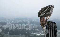 基于您提供的内容，为您生成简洁且SEO友好的疑问标题，，纳木错两日游怎么玩？一日追光，二日醉景！，解析，，核心关键词前置， 纳木错两日游 是核心搜索词，放在标题开头最利于SEO。，疑问句式， 使用怎么玩？直接点明主题，符合要求且吸引点击。，高度概括行程亮点， 用一日追光精炼对应一日追逐圣湖光影，用二日醉景精炼对应二日沉醉天地怀抱。动词追、醉生动且有画面感。，简洁有力， 整个标题非常简短，信息传达高效。，吸引力， 追光、醉景能引发读者对美景的向往。