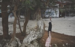 根据您的要求，直接生成的简洁、SEO友好的疑问标题如下，，上午如何探索自然与文化的完美融合？，直接对应内容，明确包含上午和自然与文化的交融的核心信息。，疑问句式，以如何开头引发好奇，提高点击率。，简洁，语言精炼，核心信息突出。，SEO友好，，包含目标关键词自然、文化、融合。，使用探索这个积极的动词，符合旅行/活动类搜索意图。，疑问句式是常见且有效的搜索形式。，长度适中，易于阅读和搜索引擎抓取。