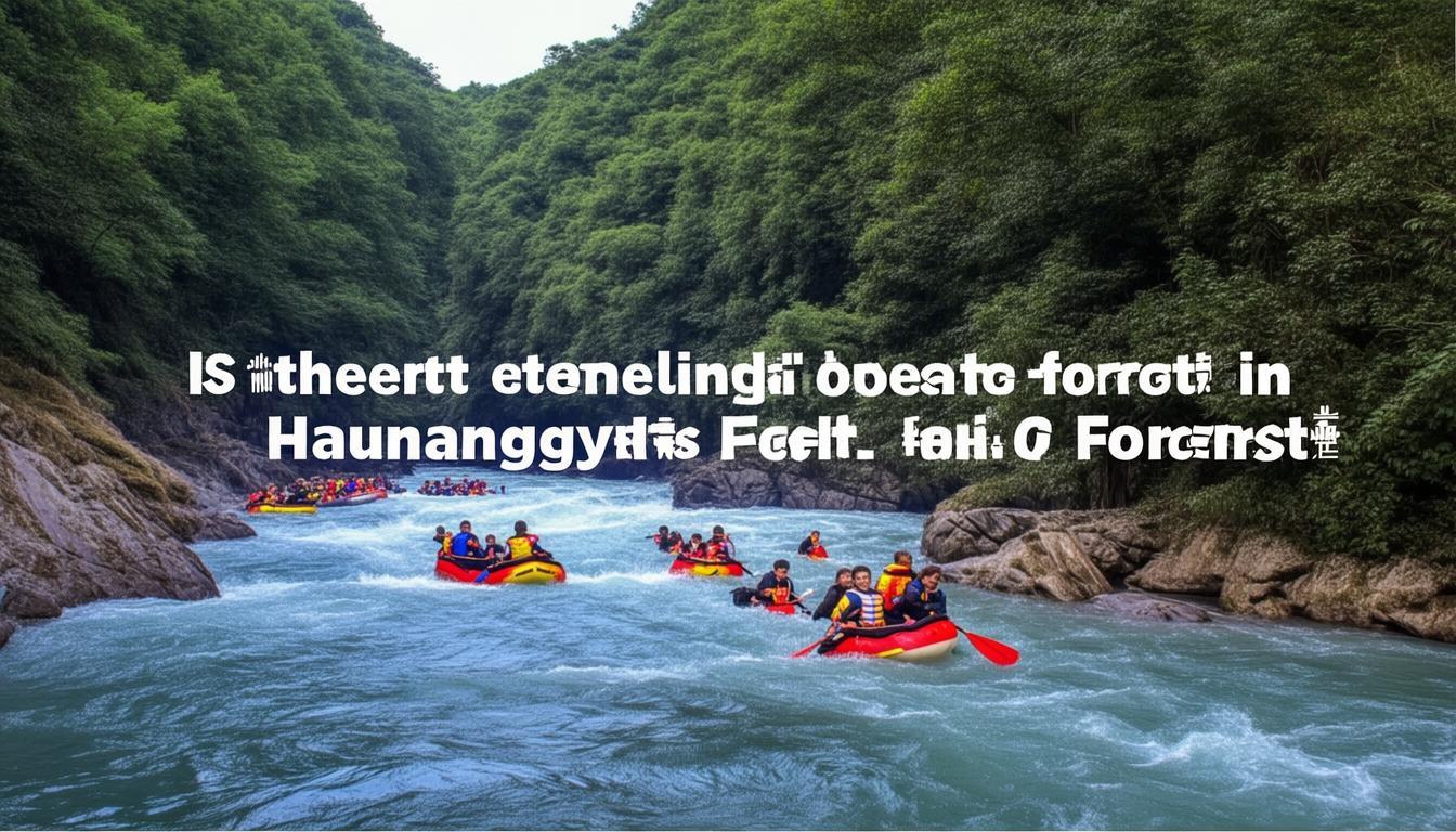 宿州皇藏峪森林漂流惊险指数真的拉满吗？-图1