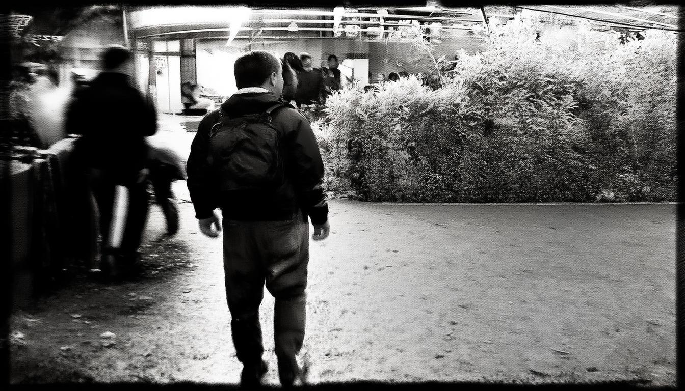 根据您的要求，直接生成的简洁、SEO友好疑问标题如下，，深圳一日游怎样玩转滨海都市？，（解析，核心关键词深圳一日游滨海都市前置突出SEO；疑问句式怎样玩转引发点击；保留活力脉动的意境，同时确保标题简短有力，符合搜索习惯。）-图3