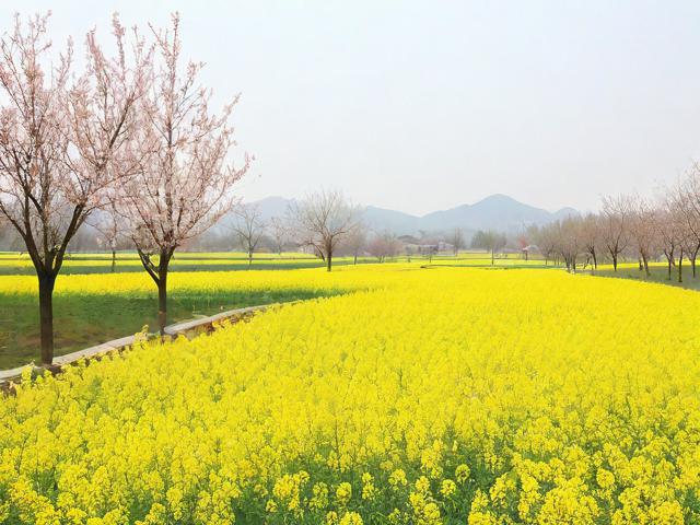 沈阳四月踏青去哪好?-图2 沈阳四月踏青去哪好?-图2