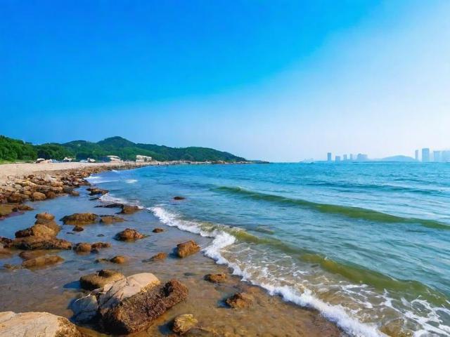 上海周边哪里可以赶海?潮间带隐藏乐趣揭秘!-图1 上海周边哪里可以赶海?潮间带隐藏乐趣揭秘!-图1