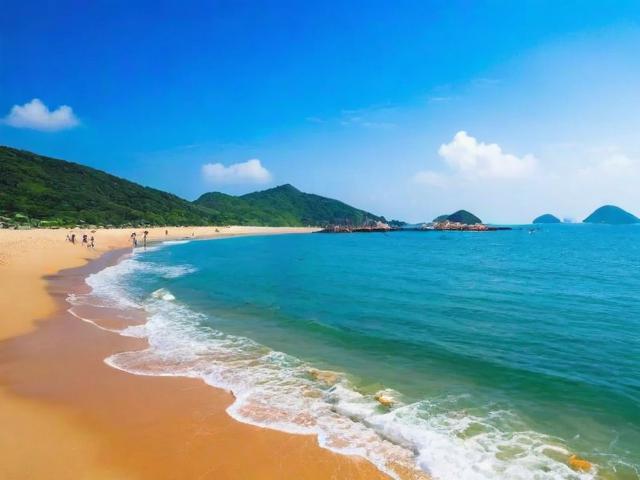 上海周边哪里可以赶海?潮间带隐藏乐趣揭秘!-图4 上海周边哪里可以赶海?潮间带隐藏乐趣揭秘!-图4