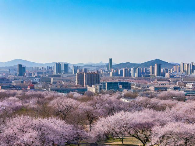 根据您的要求,直接生成的简洁、SEO友好的疑问标题如下,,北京周边3月去哪里?,理由说明,,核心关键词前置,将主要搜索词北京周边和3月放在标题开头,符合搜索习惯且利于SEO。,疑问句式,使用去哪里?构成完整疑问句,直接点明用户搜索意图(寻找目的地/景点),能有效吸引点击。,简洁明了,仅包含必要信息(地点、时间、核心需求),无冗余词汇。,时效性强,明确点出3月,锁定春季出游的搜索需求。-图4 根据您的要求,直接生成的简洁、SEO友好的疑问标题如下,,北京周边3月去哪里?,理由说明,,核心关键词前置,将主要搜索词北京周边和3月放在标题开头,符合搜索习惯且利于SEO。,疑问句式,使用去哪里?构成完整疑问句,直接点明用户搜索意图(寻找目的地/景点),能有效吸引点击。,简洁明了,仅包含必要信息(地点、时间、核心需求),无冗余词汇。,时效性强,明确点出3月,锁定春季出游的搜索需求。-图4