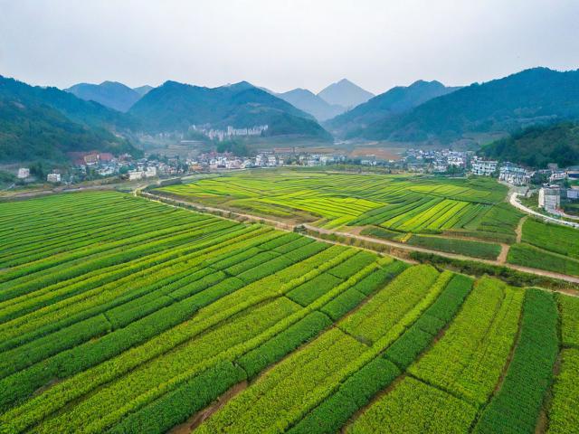 根据您的要求，为您生成的简洁、SEO友好的疑问标题是，，蓝田现代农业示范园值得去吗？，简洁明了，直接点明核心关键词蓝田现代农业示范园。，疑问句式，使用值得去吗？引发读者好奇心和点击欲。，SEO友好，包含核心关键词蓝田现代农业示范园，并且值得去吗是用户搜索此类景点时常见的疑问词组合，符合搜索意图。，信息明确，清晰指向对该景点的评价和体验价值。-图1