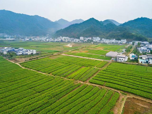 根据您的要求，为您生成的简洁、SEO友好的疑问标题是，，蓝田现代农业示范园值得去吗？，简洁明了，直接点明核心关键词蓝田现代农业示范园。，疑问句式，使用值得去吗？引发读者好奇心和点击欲。，SEO友好，包含核心关键词蓝田现代农业示范园，并且值得去吗是用户搜索此类景点时常见的疑问词组合，符合搜索意图。，信息明确，清晰指向对该景点的评价和体验价值。-图4