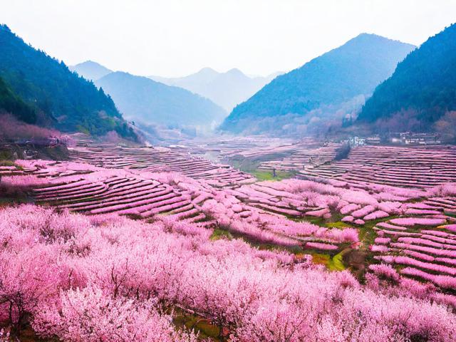 根据您的要求,直接生成的简洁、SEO友好的疑问标题为,,重庆南川桃花源,哪里看梦幻粉红花海?,理由,,核心关键词前置, 重庆南川桃花源 是核心地点和景点名称,利于搜索。,疑问句式吸引点击, 哪里看 直接点明用户搜索意图(寻找观赏地点)。,突出核心景观, 梦幻粉红花海 精准概括核心看点(粉红花海)和特色(梦幻感),包含高价值描述词。,简洁明了, 长度适中,信息完整无冗余,符合SEO标题要求。-图2 根据您的要求,直接生成的简洁、SEO友好的疑问标题为,,重庆南川桃花源,哪里看梦幻粉红花海?,理由,,核心关键词前置, 重庆南川桃花源 是核心地点和景点名称,利于搜索。,疑问句式吸引点击, 哪里看 直接点明用户搜索意图(寻找观赏地点)。,突出核心景观, 梦幻粉红花海 精准概括核心看点(粉红花海)和特色(梦幻感),包含高价值描述词。,简洁明了, 长度适中,信息完整无冗余,符合SEO标题要求。-图2