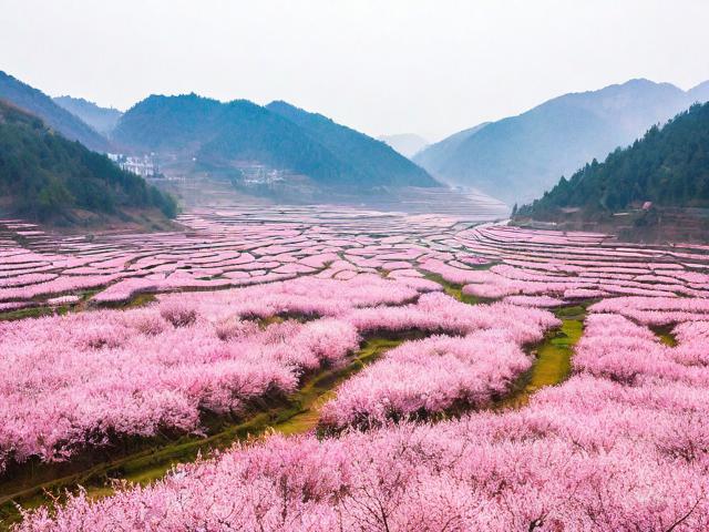 根据您的要求,直接生成的简洁、SEO友好的疑问标题为,,重庆南川桃花源,哪里看梦幻粉红花海?,理由,,核心关键词前置, 重庆南川桃花源 是核心地点和景点名称,利于搜索。,疑问句式吸引点击, 哪里看 直接点明用户搜索意图(寻找观赏地点)。,突出核心景观, 梦幻粉红花海 精准概括核心看点(粉红花海)和特色(梦幻感),包含高价值描述词。,简洁明了, 长度适中,信息完整无冗余,符合SEO标题要求。-图4 根据您的要求,直接生成的简洁、SEO友好的疑问标题为,,重庆南川桃花源,哪里看梦幻粉红花海?,理由,,核心关键词前置, 重庆南川桃花源 是核心地点和景点名称,利于搜索。,疑问句式吸引点击, 哪里看 直接点明用户搜索意图(寻找观赏地点)。,突出核心景观, 梦幻粉红花海 精准概括核心看点(粉红花海)和特色(梦幻感),包含高价值描述词。,简洁明了, 长度适中,信息完整无冗余,符合SEO标题要求。-图4