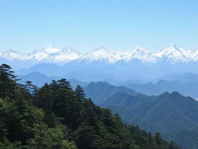 雪峰山国家森林公园的自然秘境在哪里?-图1 雪峰山国家森林公园的自然秘境在哪里?-图1