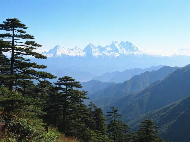雪峰山国家森林公园的自然秘境在哪里?-图2 雪峰山国家森林公园的自然秘境在哪里?-图2