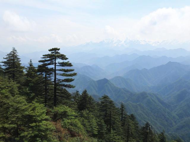 雪峰山国家森林公园的自然秘境在哪里?-图3 雪峰山国家森林公园的自然秘境在哪里?-图3
